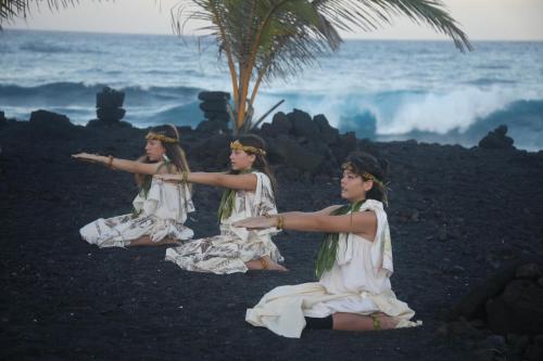 マウケレ ロッジ 写真