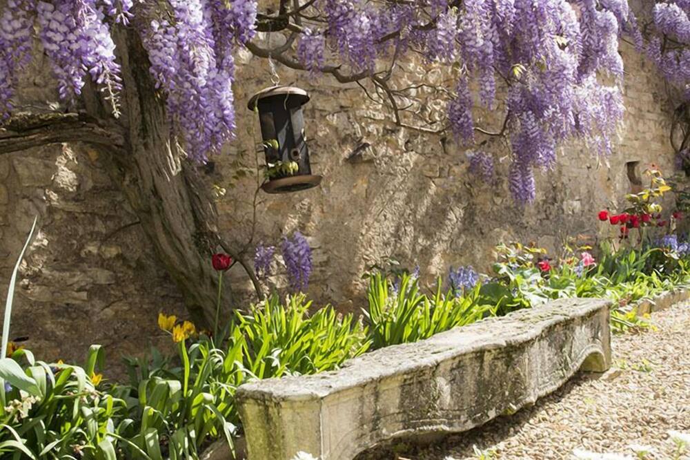 Hôtel De La Ferté 写真