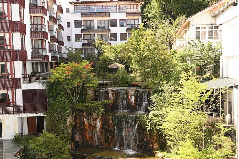 アリシャン ホテル 写真