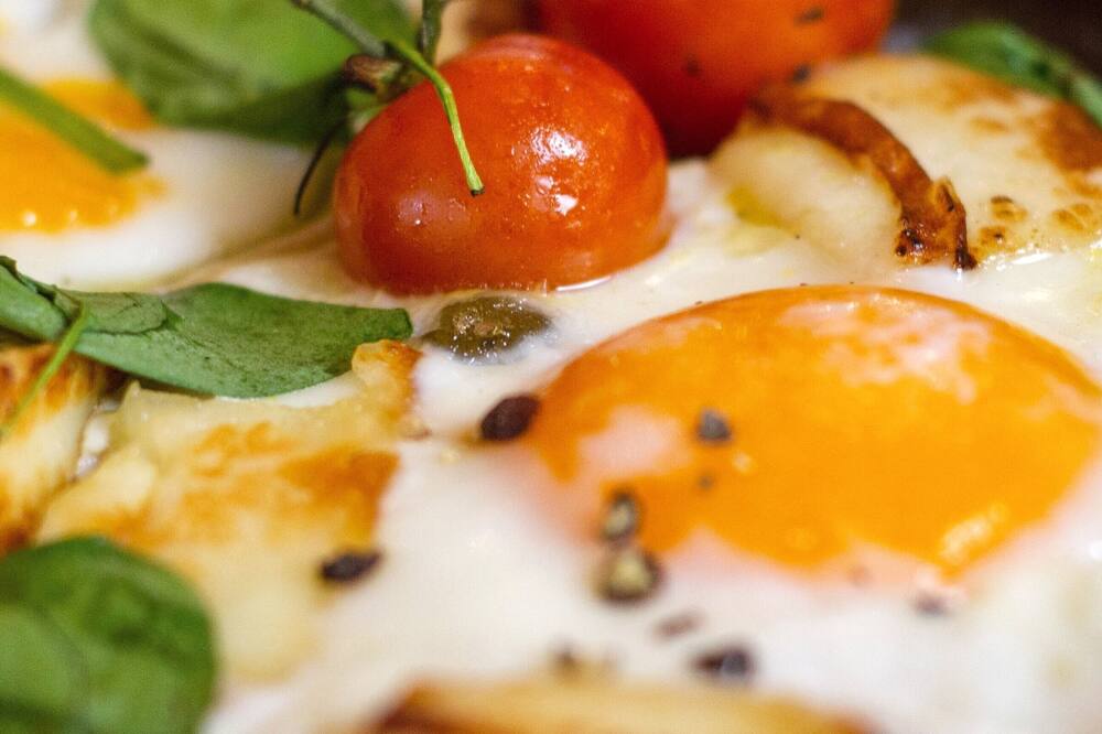 The Adams Pragge House 写真