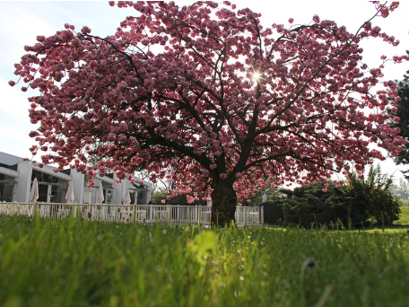 Holiday Inn Lille Ouest Englos By IHG 写真