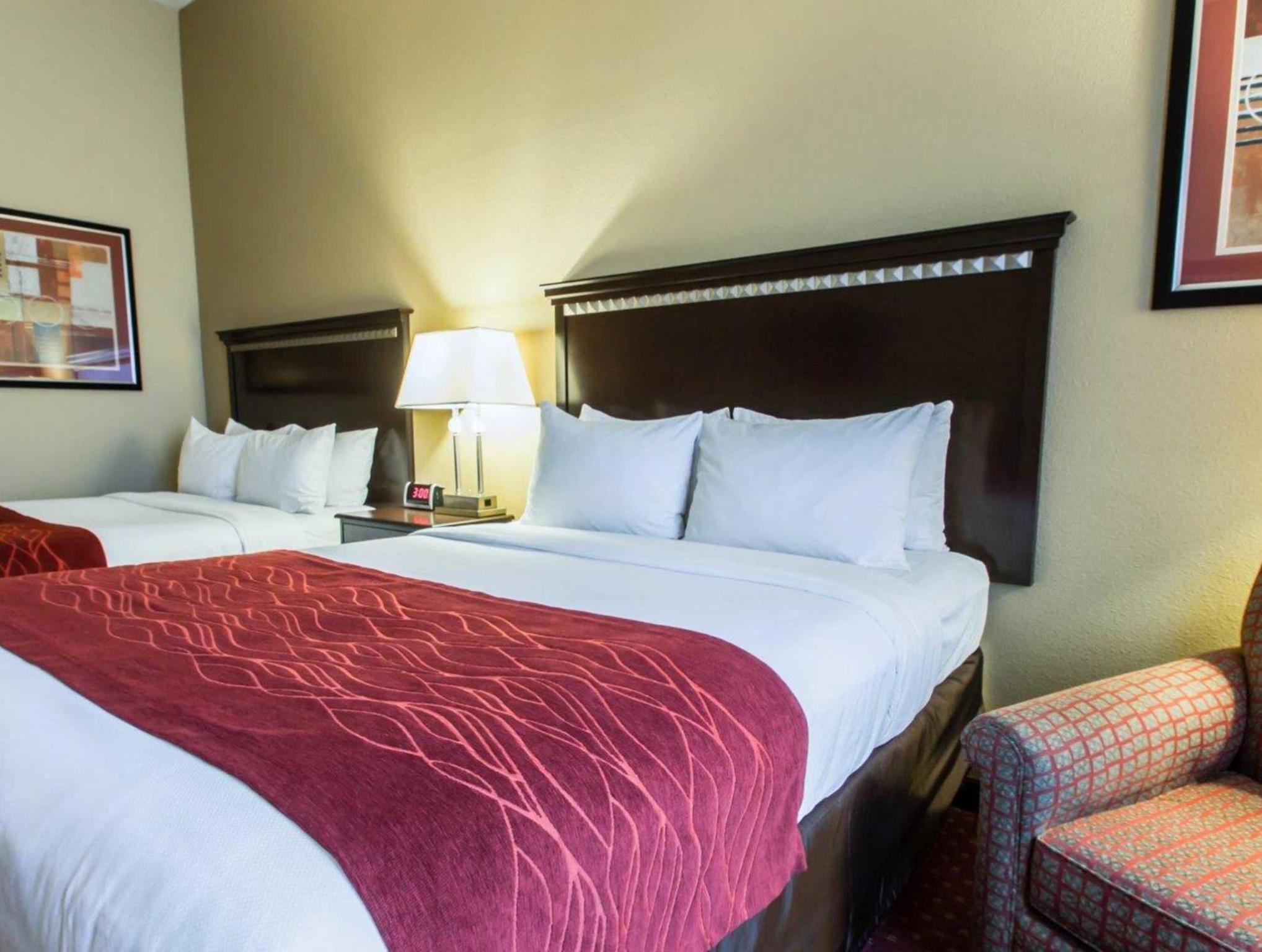 Comfort Inn & Suites Maingate South 写真