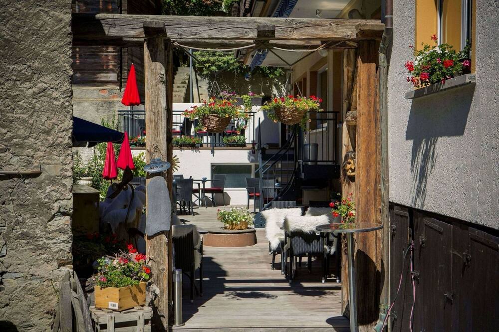 エクセルシオール 写真