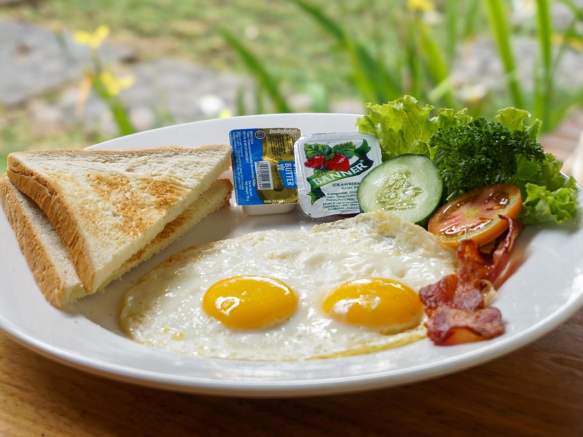 サヌール ロッジ バリ 写真