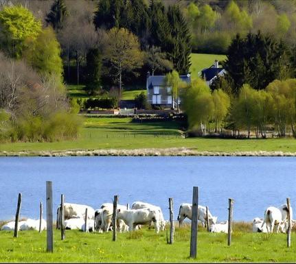 Hotel de Bourgogne 写真