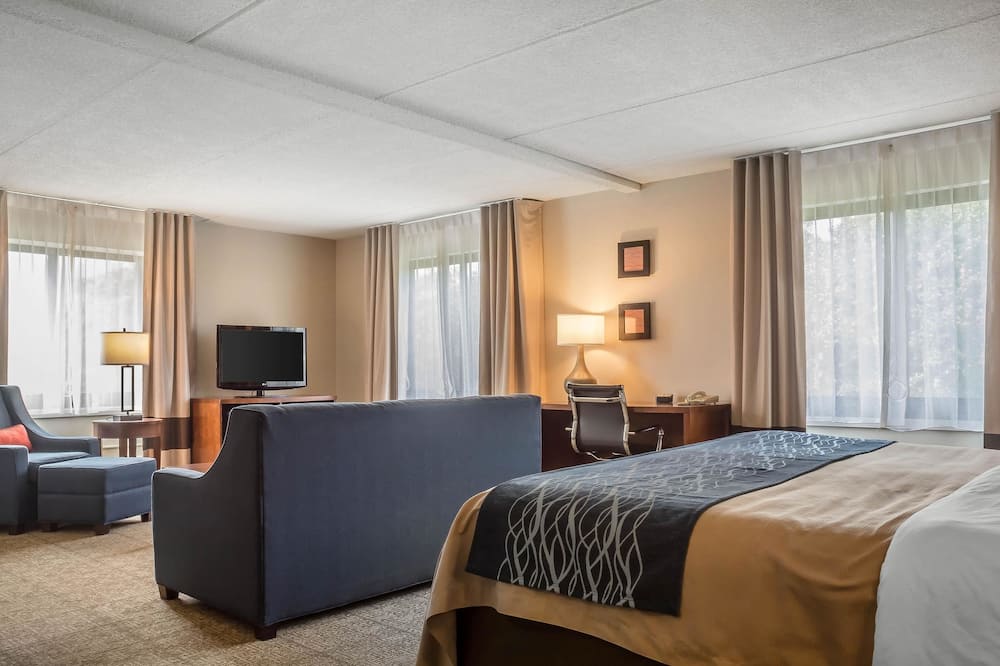 コンフォート イン ザ ポイント 写真