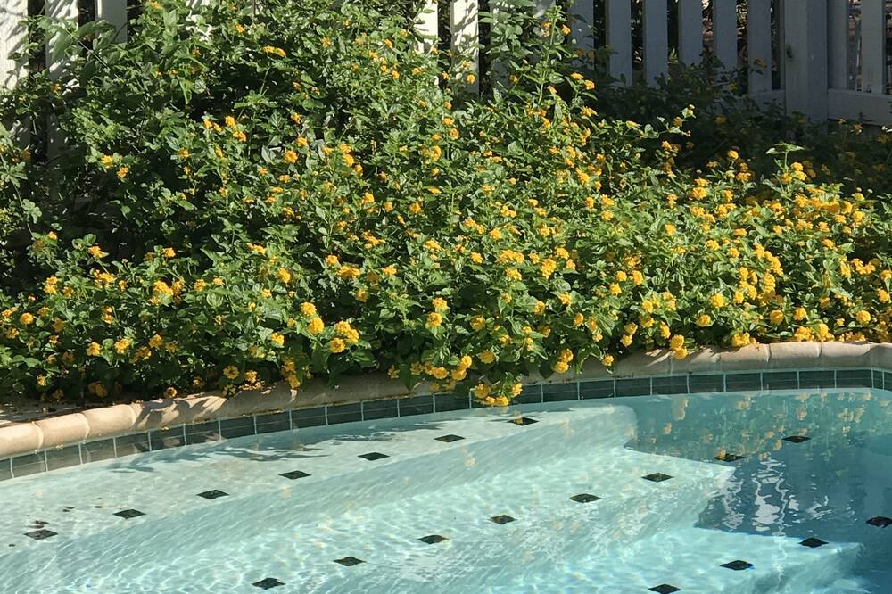 ザ プランテーション ハウス ブティック イン 写真