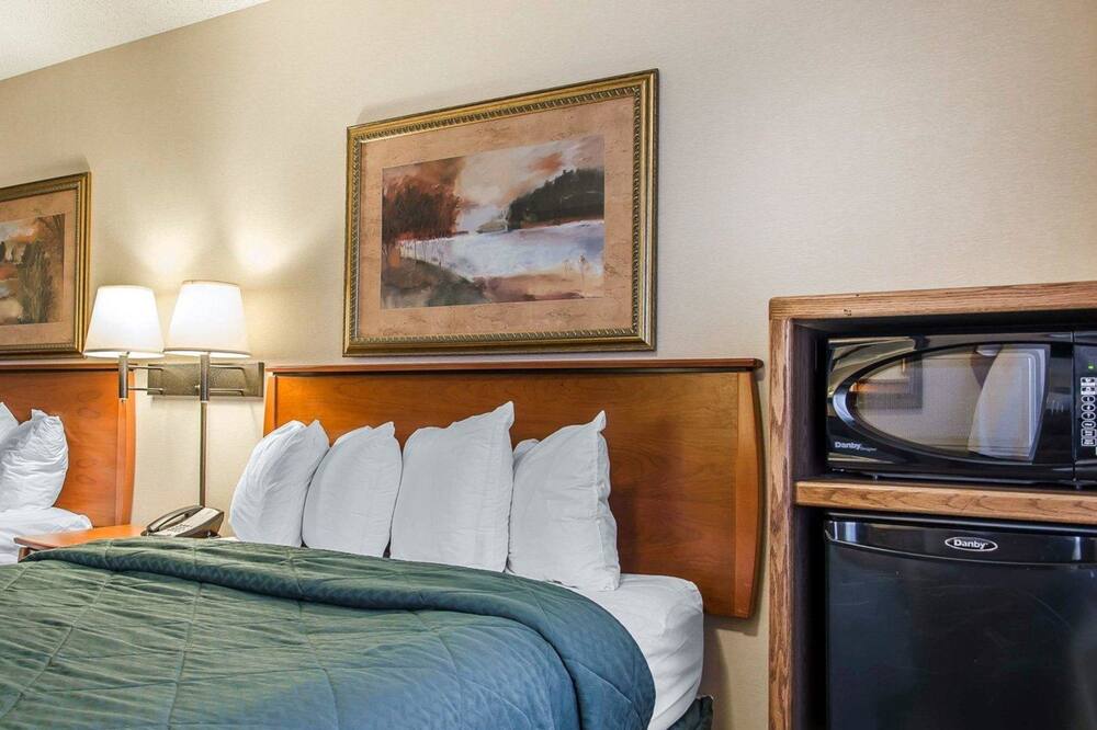 クオリティ イン & スイーツ ツイン フォールズ ノース 写真