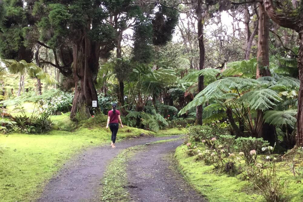 ハレオフ ベッド アンド ブレックファースト 写真