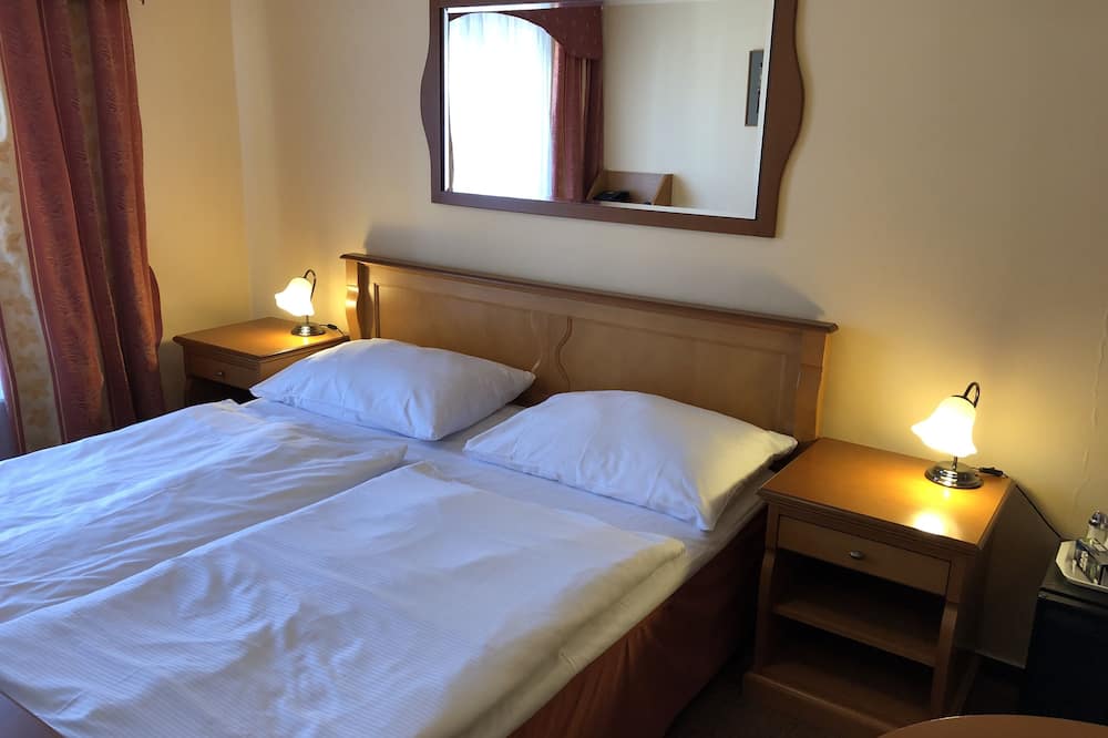 ブレジナ ペンション 写真