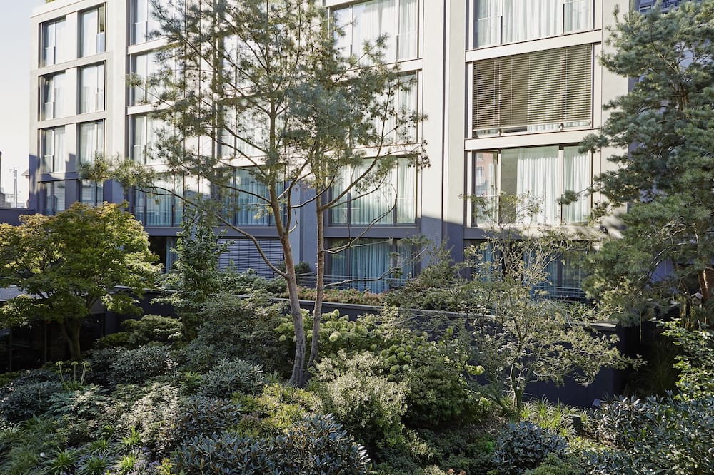 サヴォイ ホテル 写真