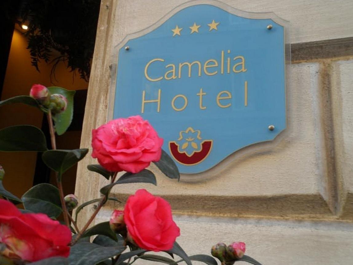 カメリア ホテル 写真