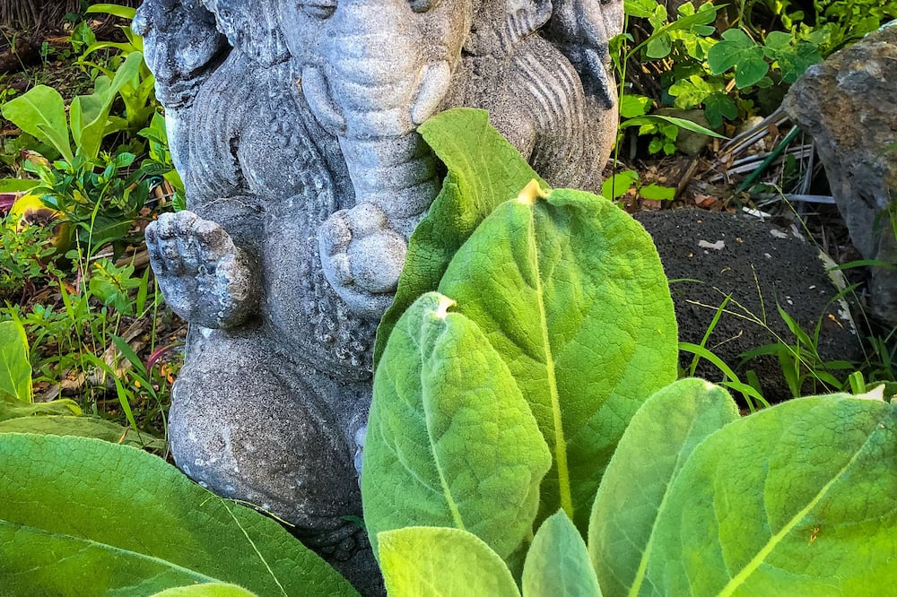 ジンジャーヒル ファーム リトリート 写真