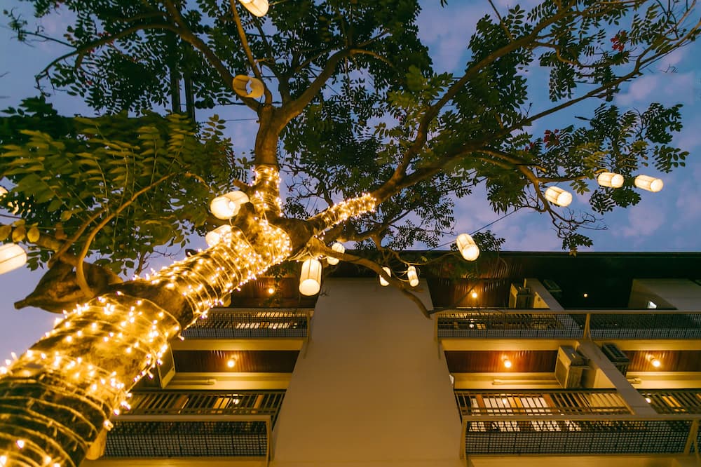 ランデブー クラシック ハウス 写真