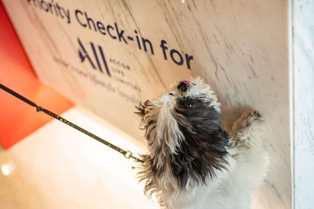 イビス ロンドン エクセル ドックランズ 写真