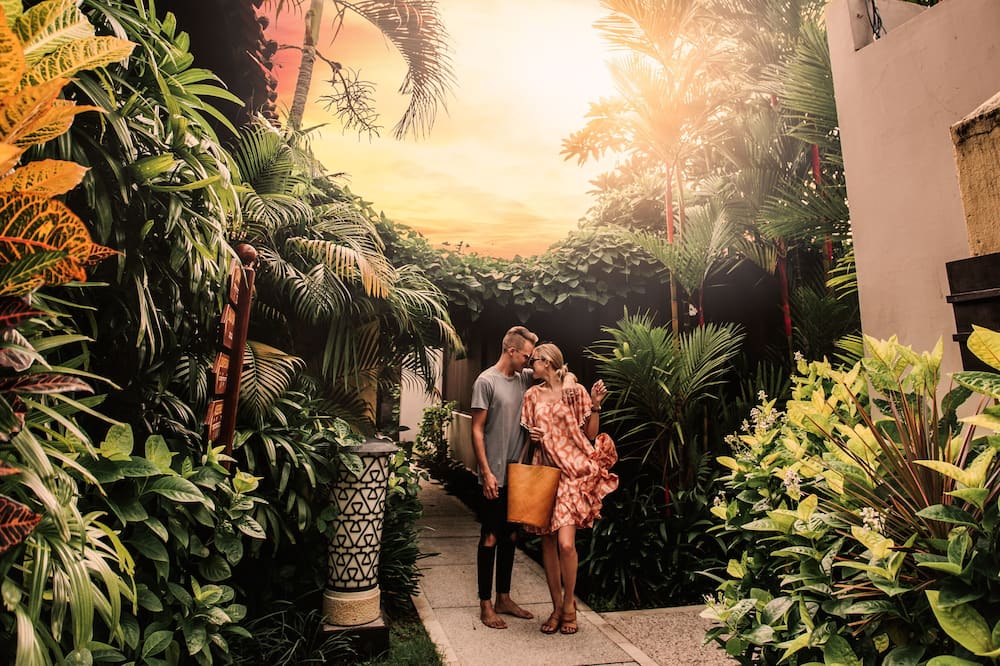 アラヤ デダウン クタ 写真