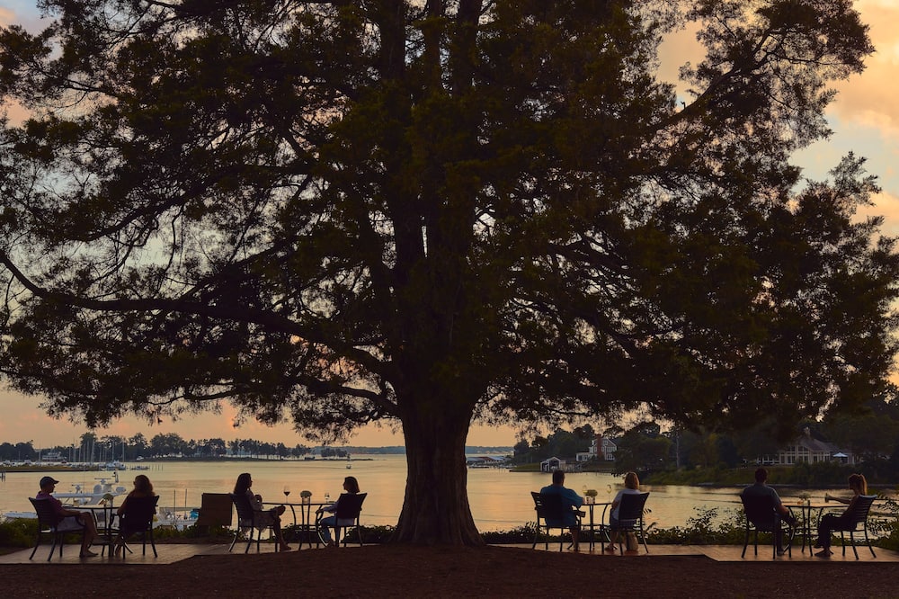 ザ タイズ イン 写真