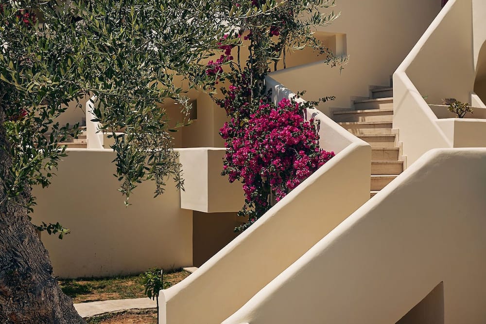 Tsamis Zante Suites 写真