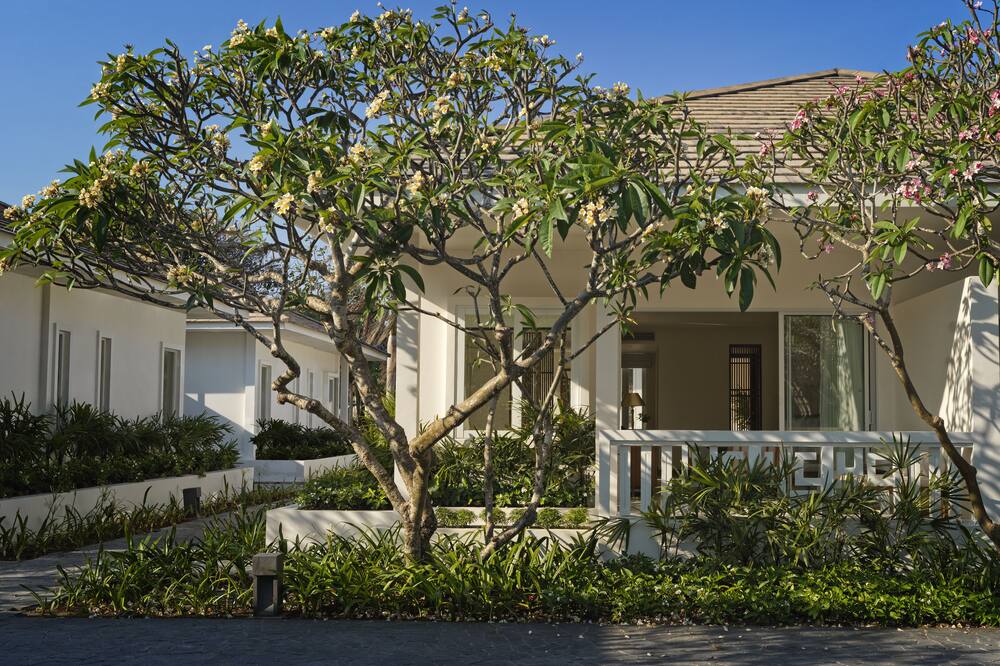 アゼライ ケ ガ ベイ 写真