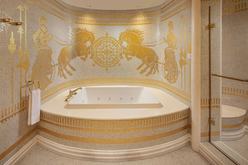 シェラトン アンカラ ホテル&コンベンション センター 写真