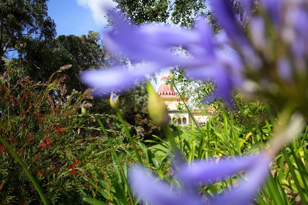 シントラ ブティック ホテル 写真