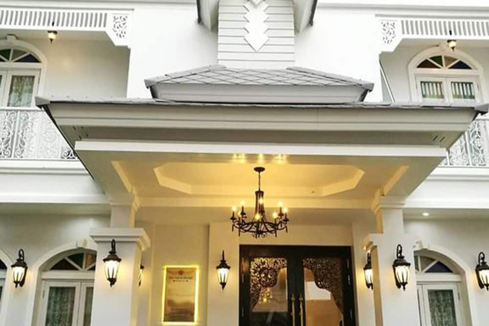 Velvet orchid 写真