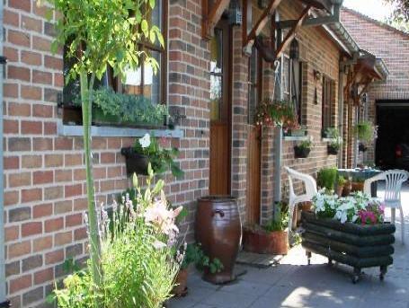 エレッカーリックイン イン ホテル 写真