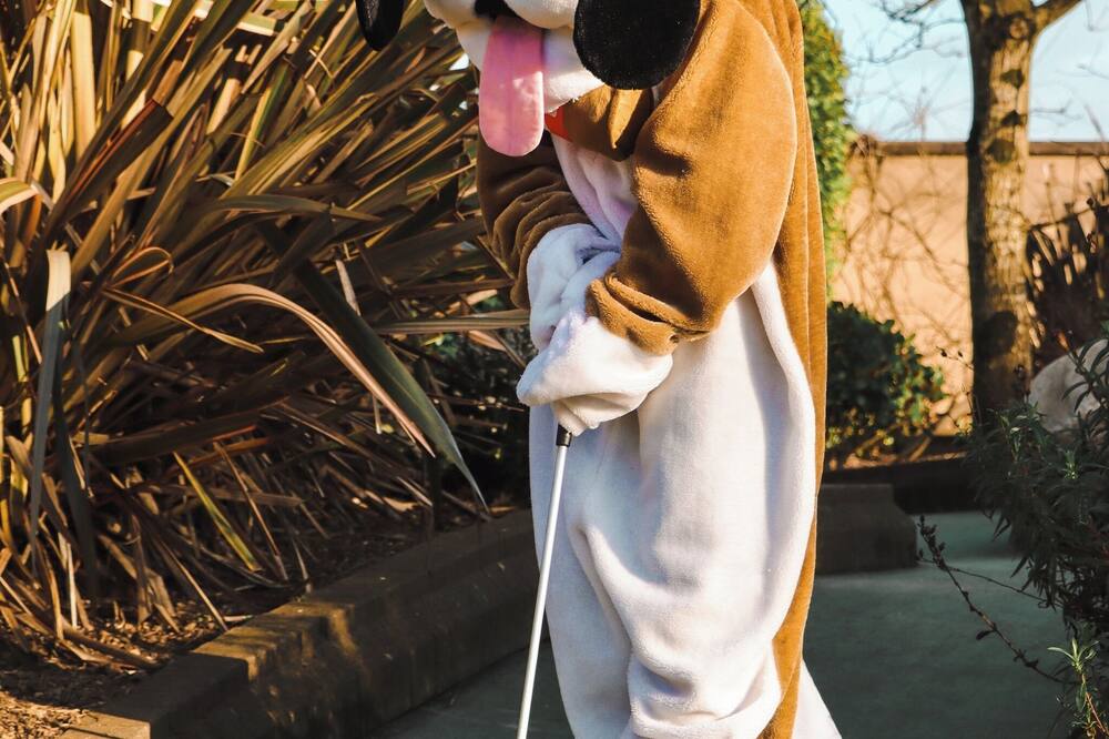 アンバー スプリングス ホテル 写真