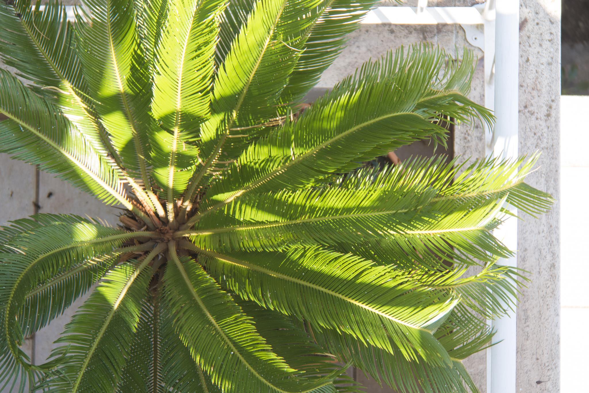 ラグジュアリー B&B レッチェ 写真