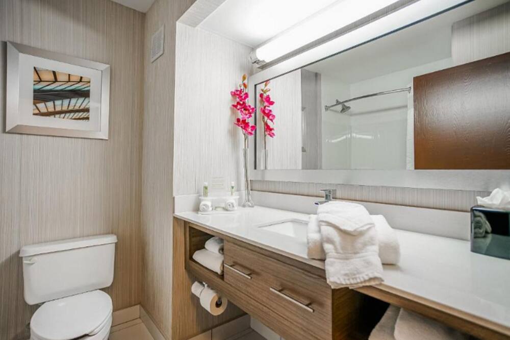 スリープ イン & スイーツ メンフィス サウスイースト 写真