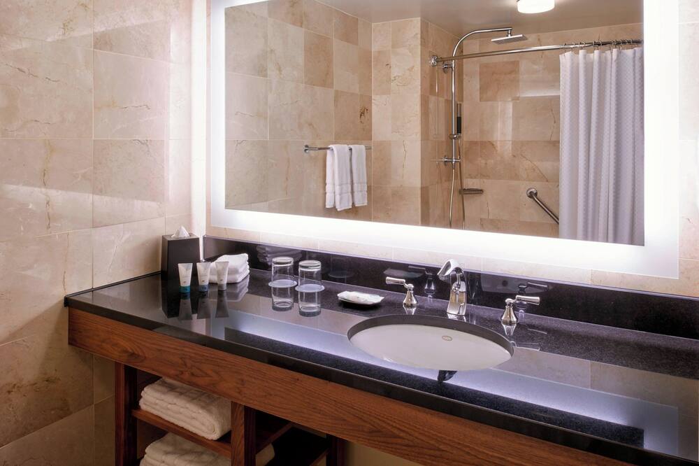 ザ ウェスティン デトロイト メトロポリタン エアポート 写真