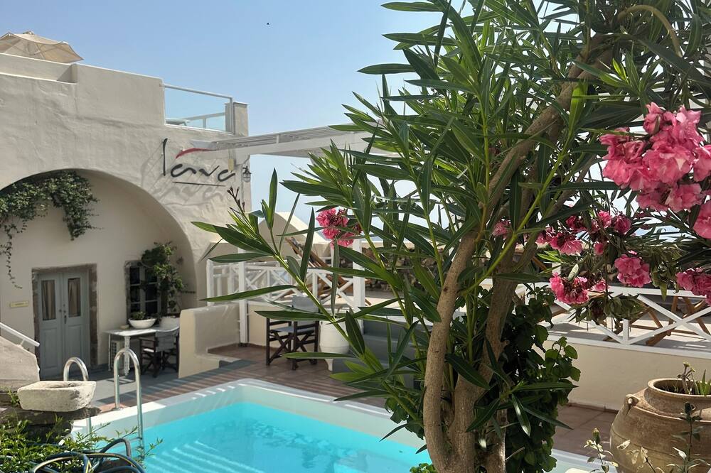 ラヴァ スイーツ 写真