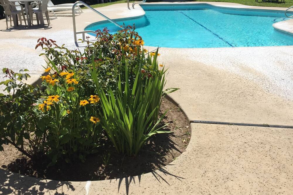 マイナーズ イン 写真