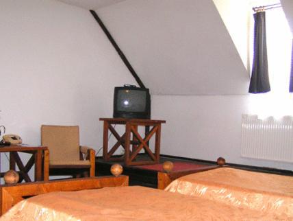 ホテル シギショアラ 写真