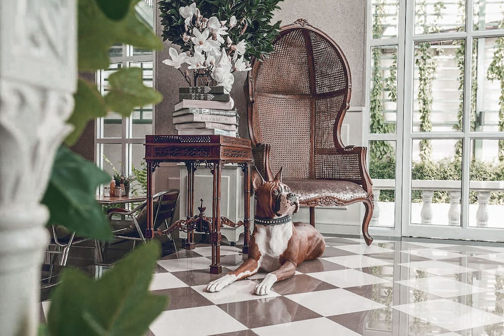 クラブ ツリー ホテル 写真