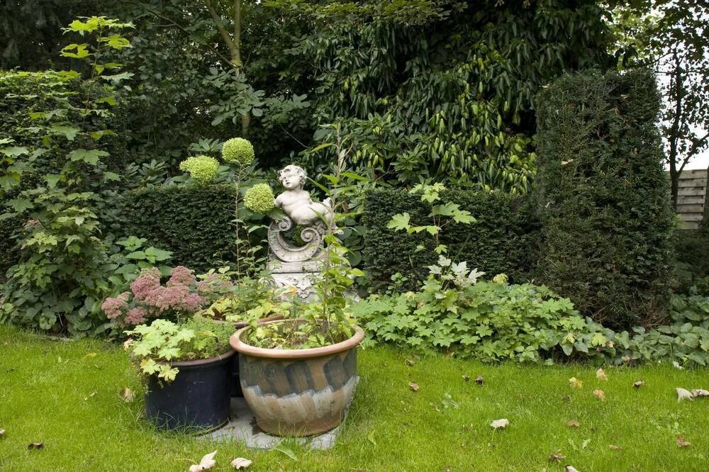 エレメントムホテル - B&B 写真