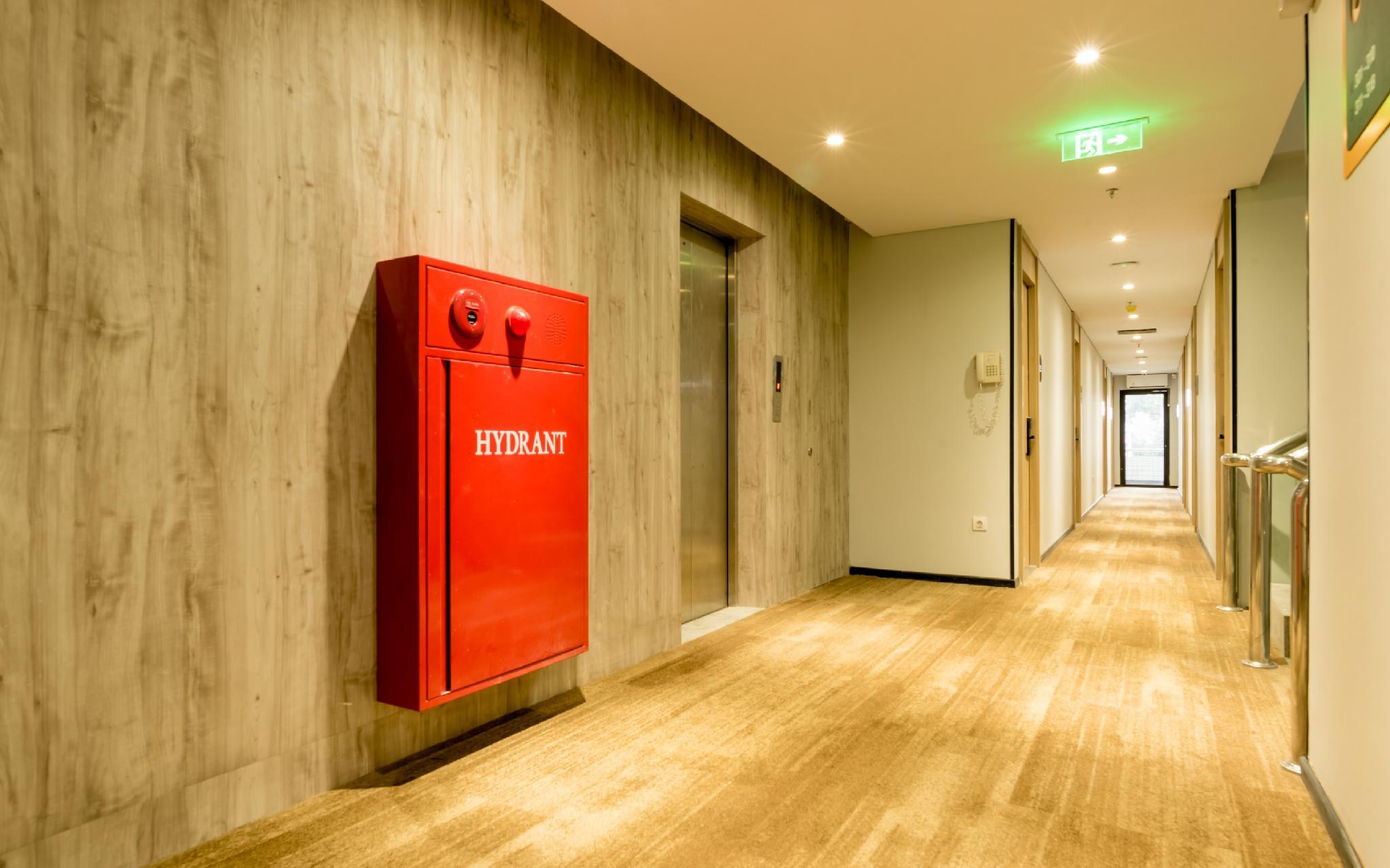 イエロー ビー タナ アバン 写真