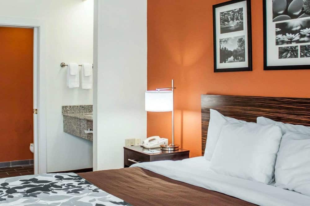 スリープ イン ノース チャールストン アシュリー フォスフェイト 写真