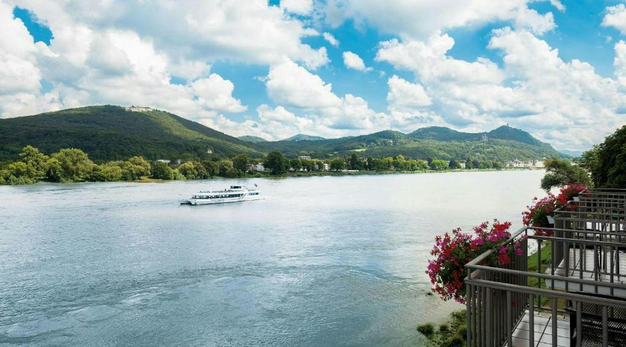 Rheinhotel Dreesen 写真