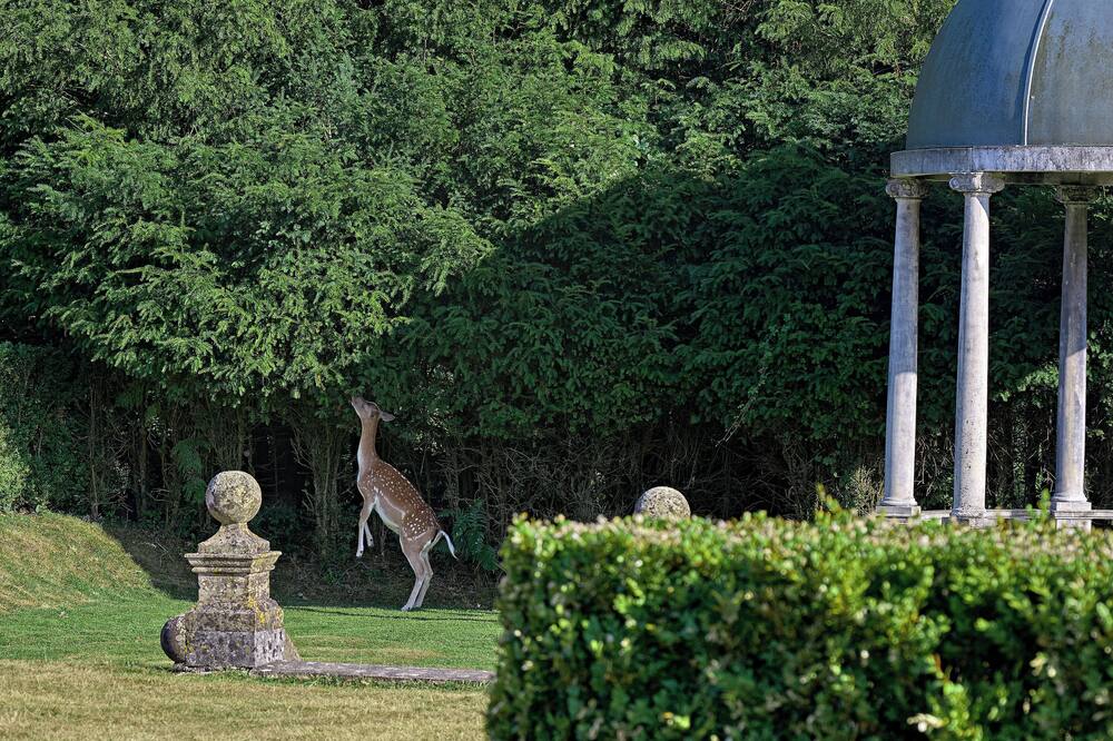 Rhinefield House Hotel 写真