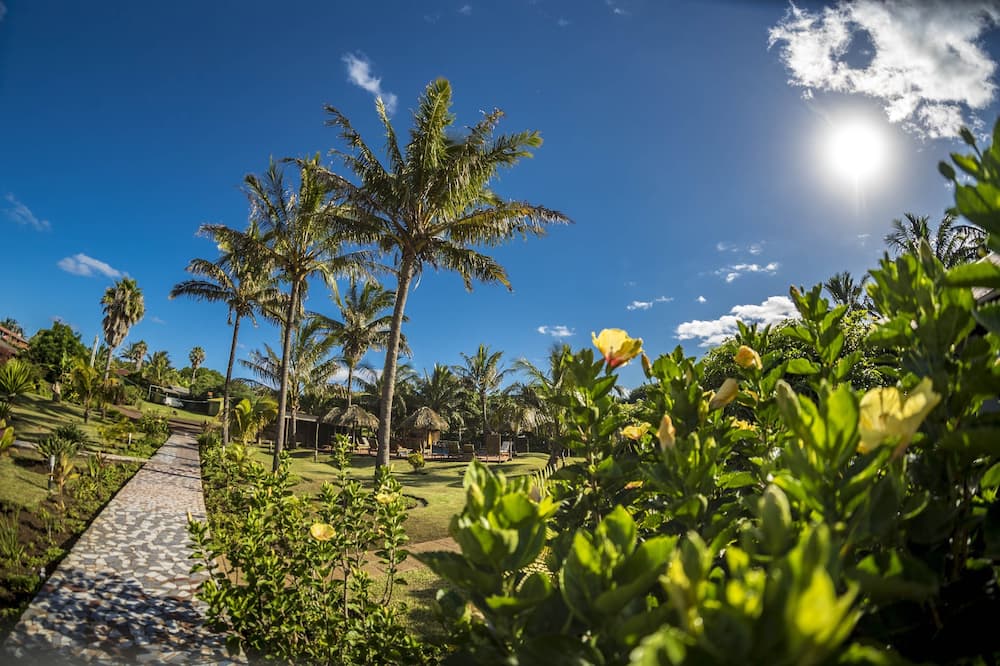 タハ タイ 写真