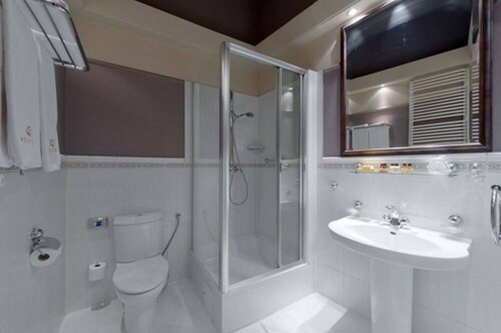 ヴェンツル 写真