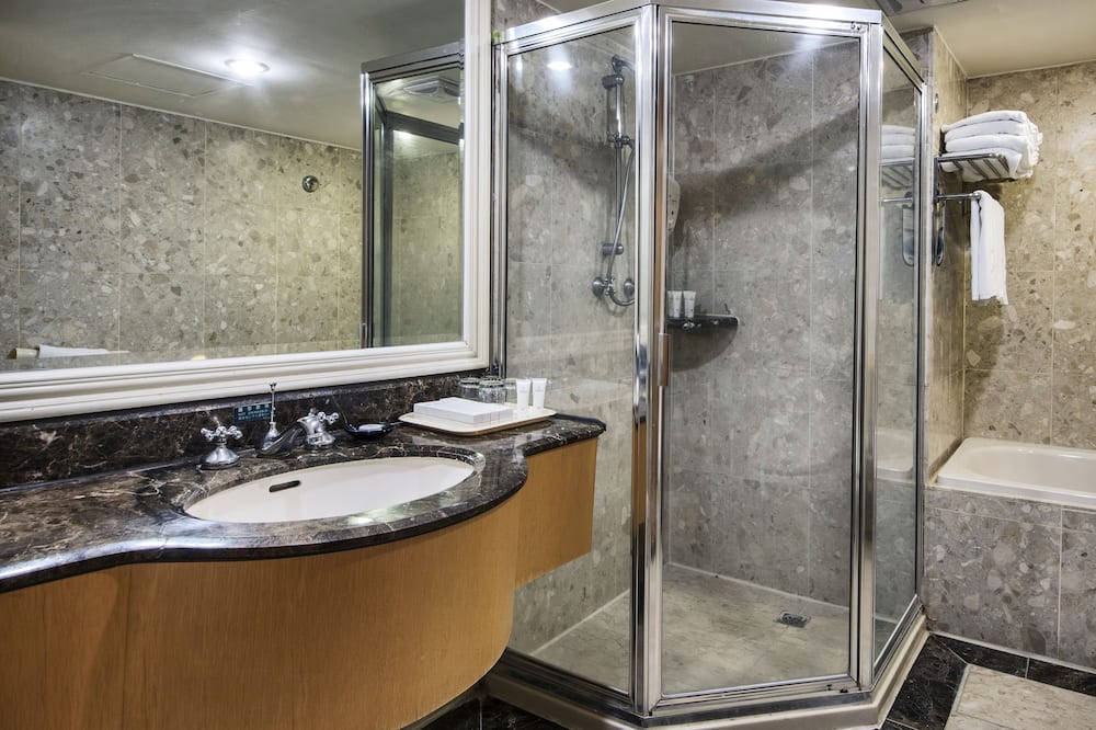 ザ カールトン ホテル シンジュー 写真