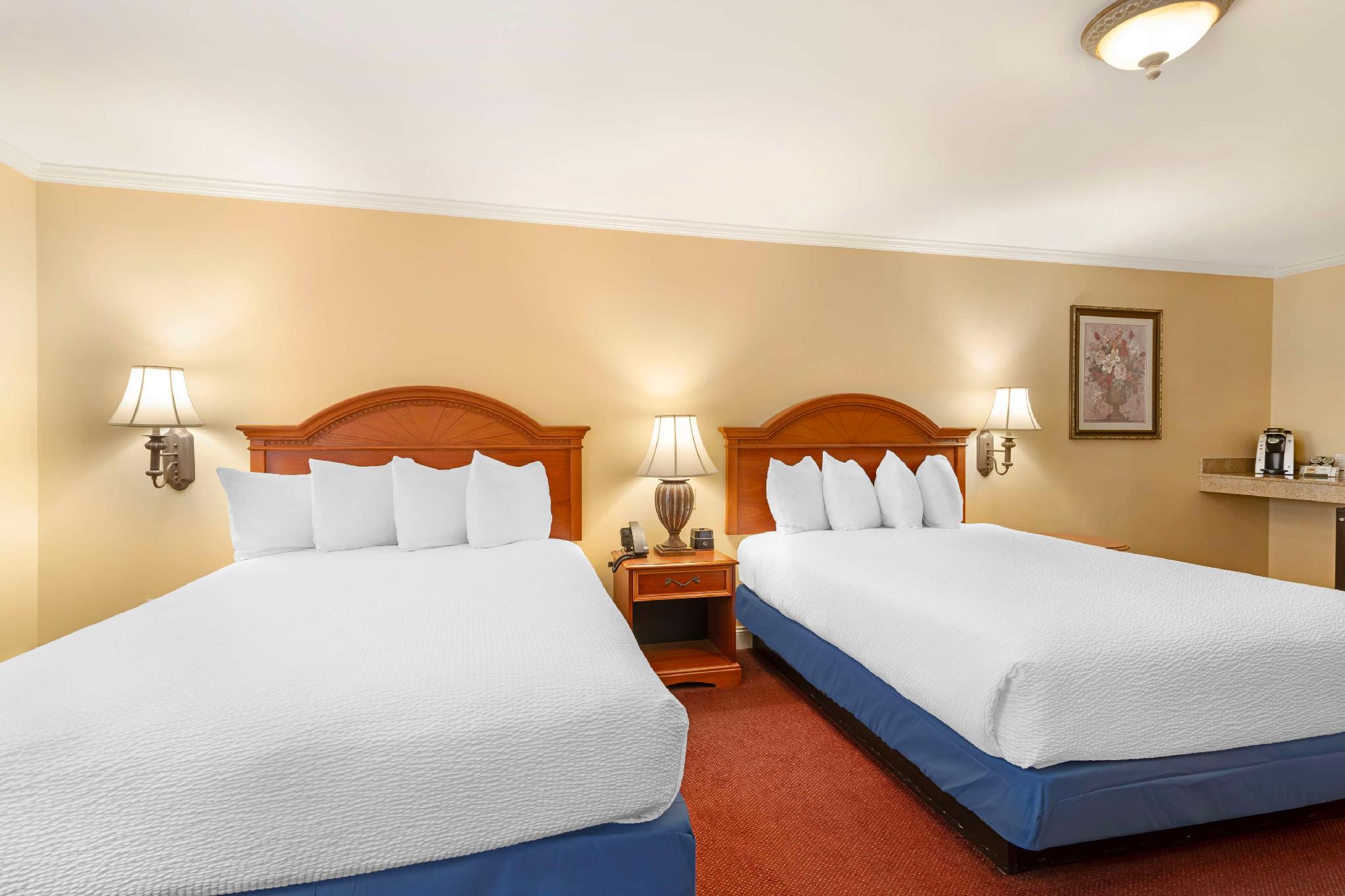 ベストウェスタン ホワイト ハウス イン 写真