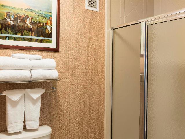 ホームウッド スイーツ バイ ヒルトン レキシントン ハンバーグ 写真