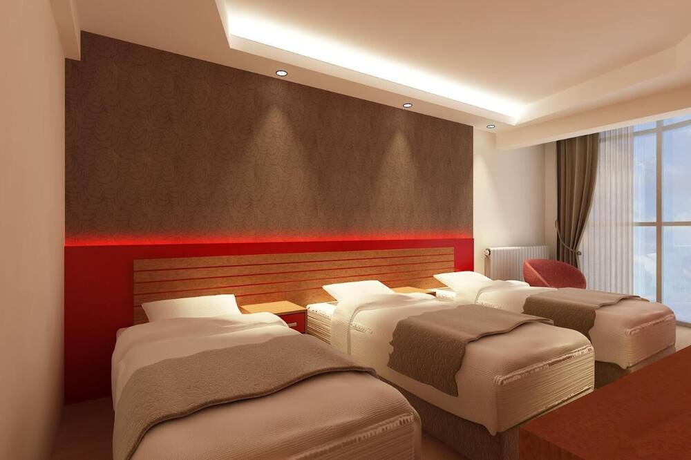 アニル ホテル 写真