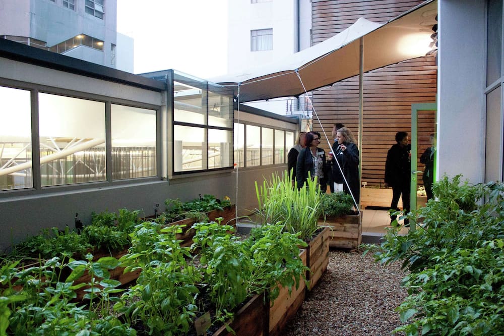 ダブルツリー バイ ヒルトン ケープタウン アッパー イーストサイド 写真