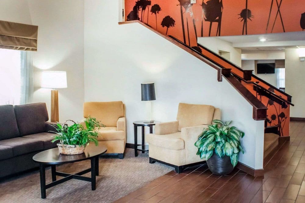 スリープ イン ノース チャールストン アシュリー フォスフェイト 写真