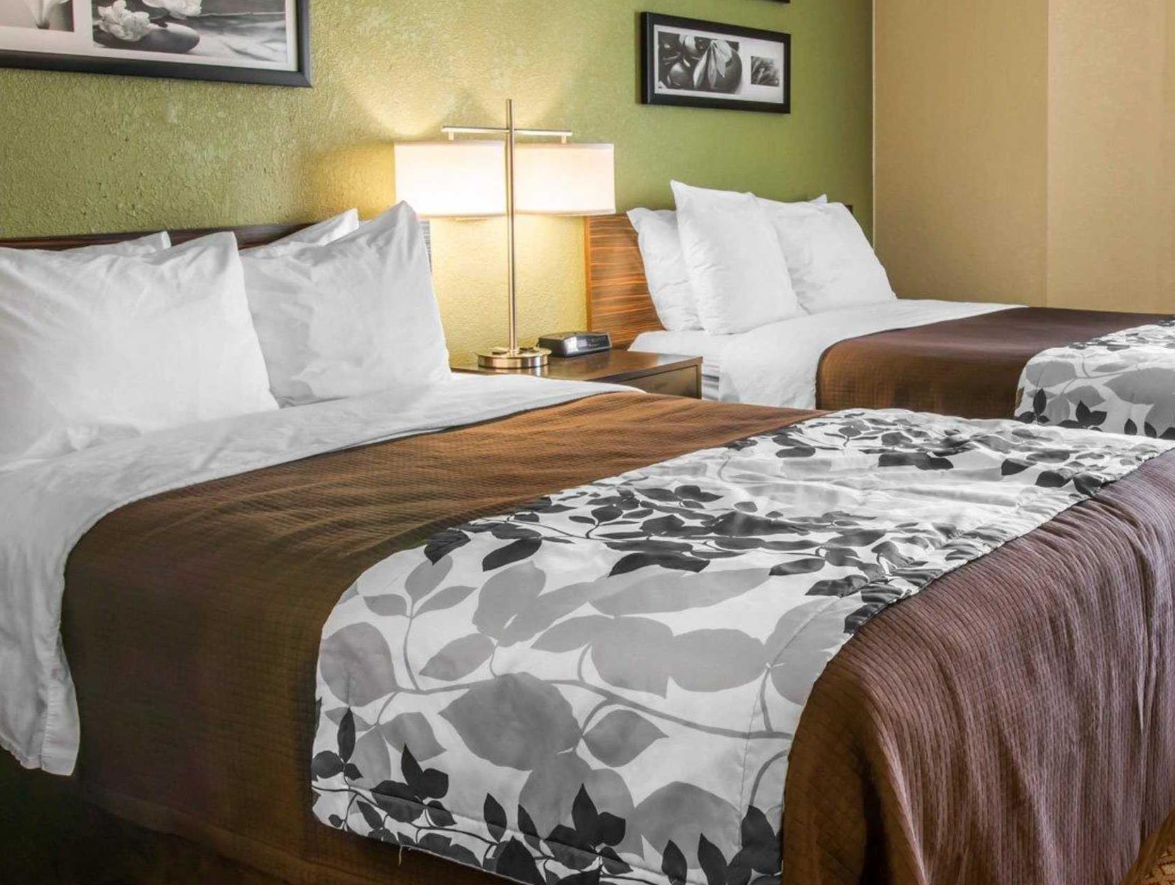 スリープ イン & スイーツ グランド ラピッズ サウスイースト - ケントウッド 写真