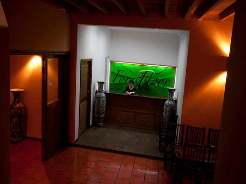 フォレスト フロア ロッジ 写真